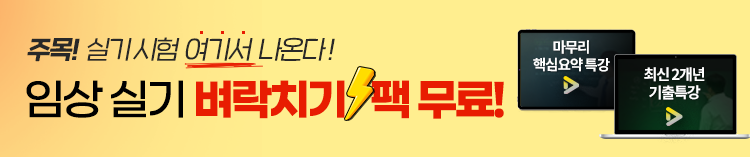 임상심리사 실기 벼락치기팩