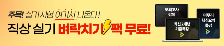 직업상담사 실기 벼락치기팩