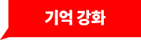 기억 강화