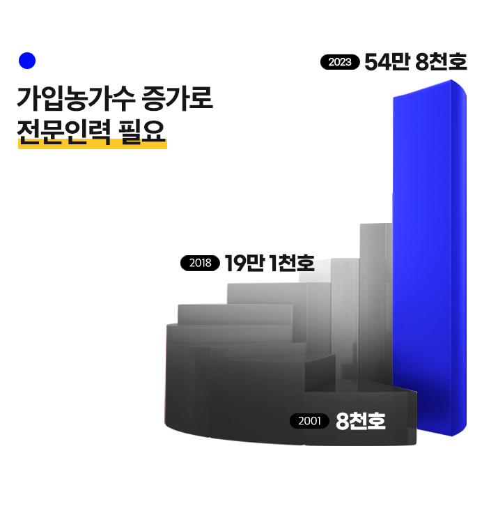 퍼펙트 연장반